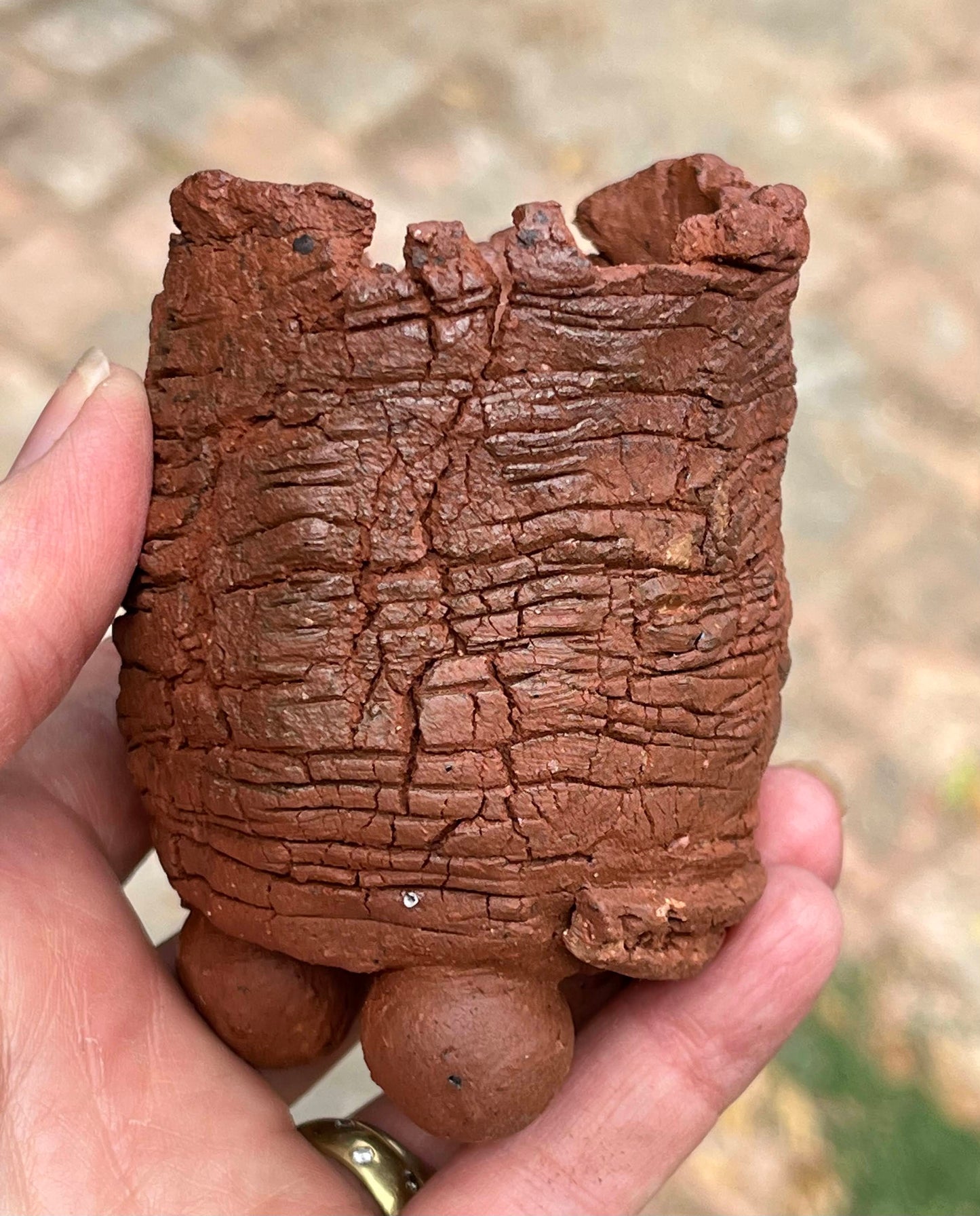 Habitat pot #1