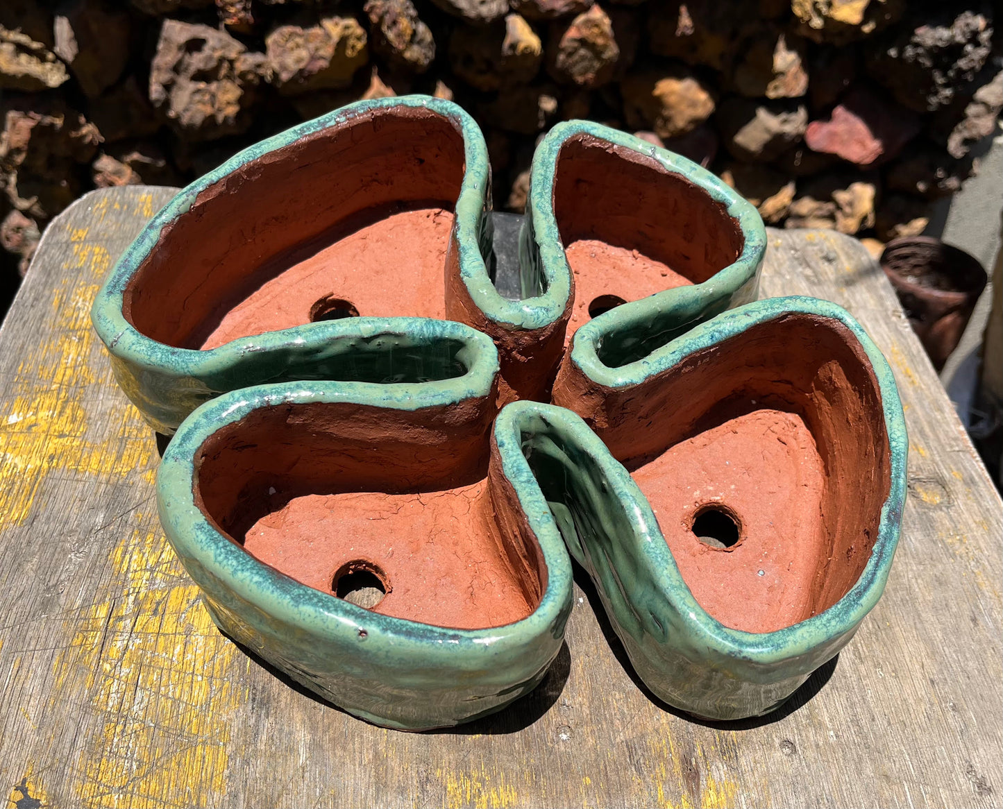 Seed pod