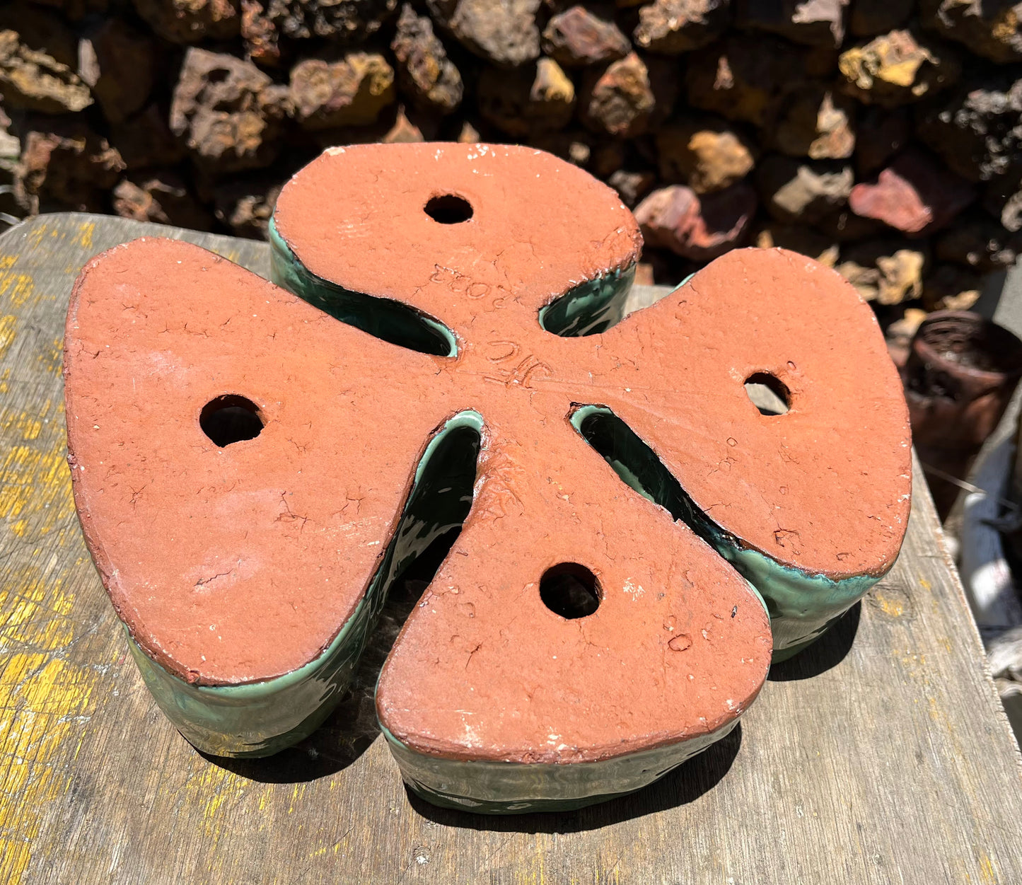 Seed pod