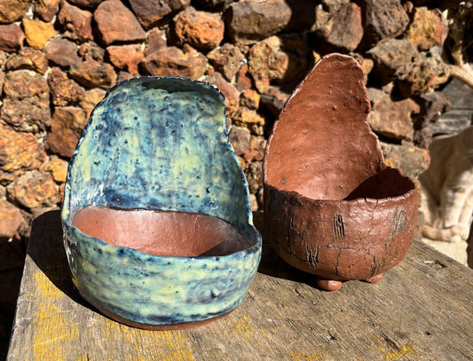 South-Easter Denier #2 (right pot on photo)