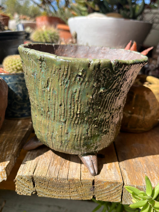 Moss pot with 4 dainty toes