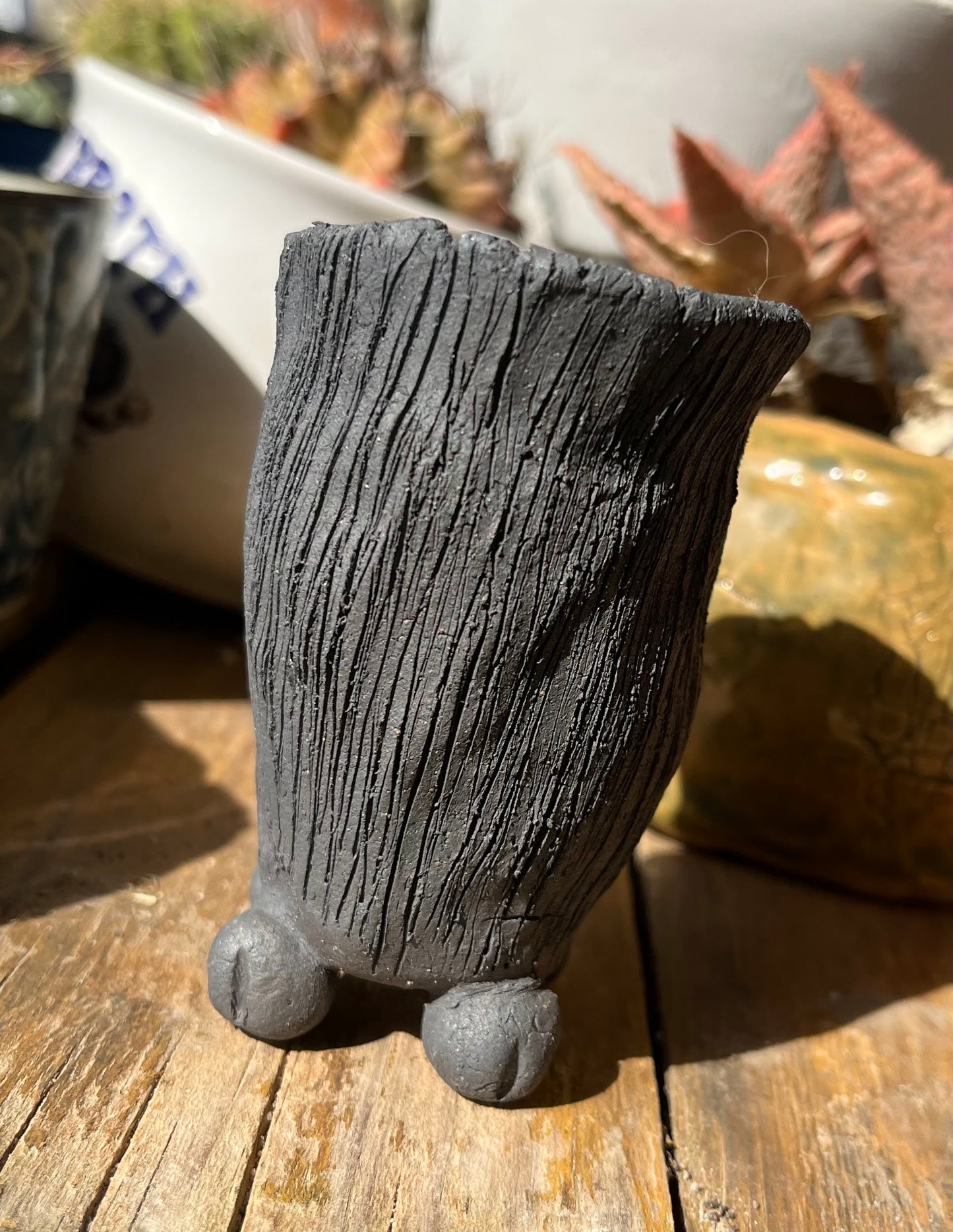 Smalls #16 (Textured black pot)