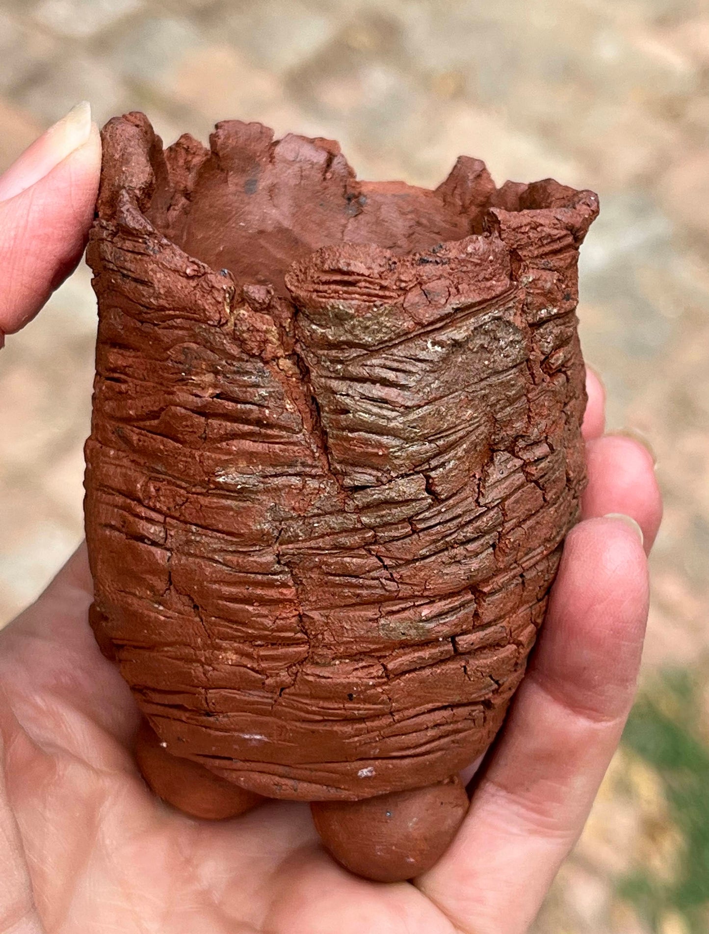 Habitat pot #1